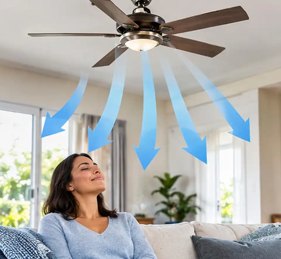 How the Wind-Chill Effect Cools You (Not the Room)